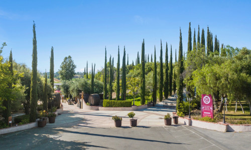 Mount Palomar Winery