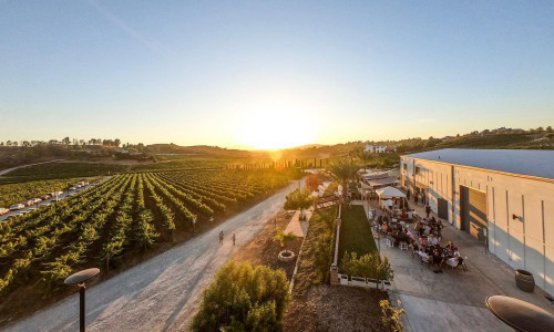 Akash Winery