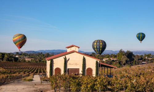 Danza del Sol Winery