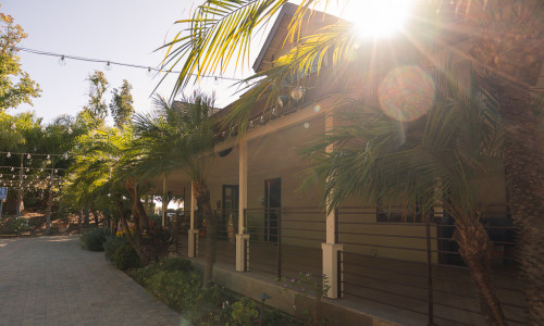 Chapin Family Vineyards