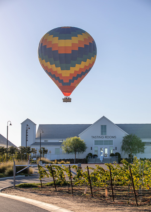 Hot Air Balloons