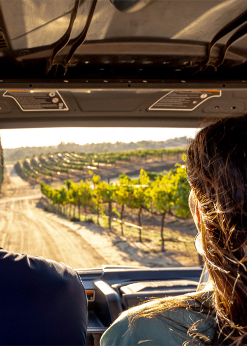 ATV Tours