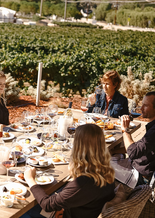 Dining in the Vines