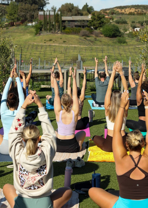Winery Yoga