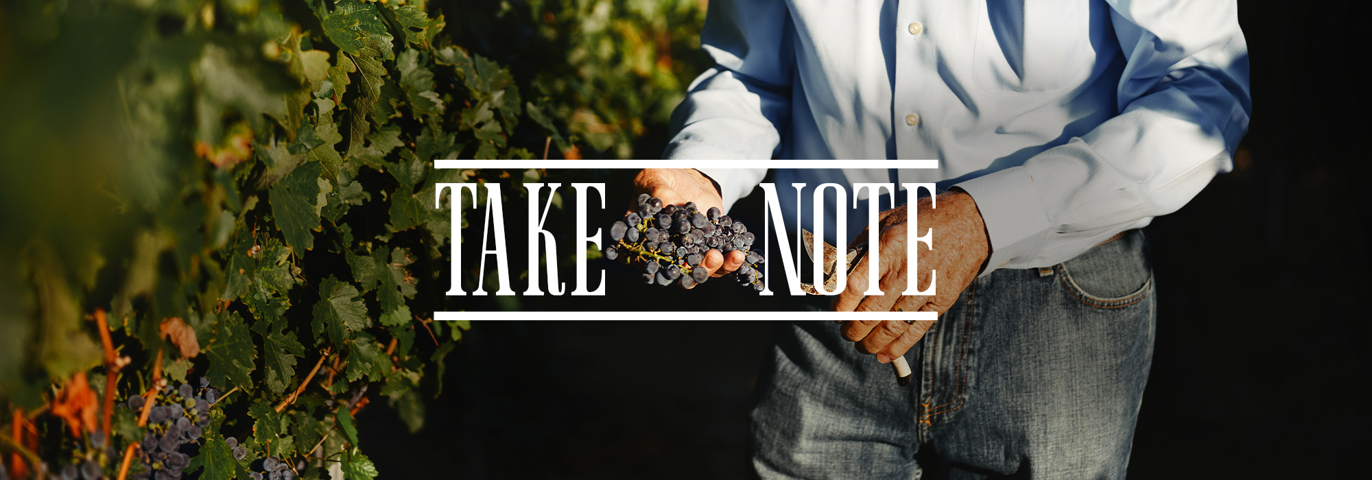 Plan Your Trip to Temecula Valley Wine Country