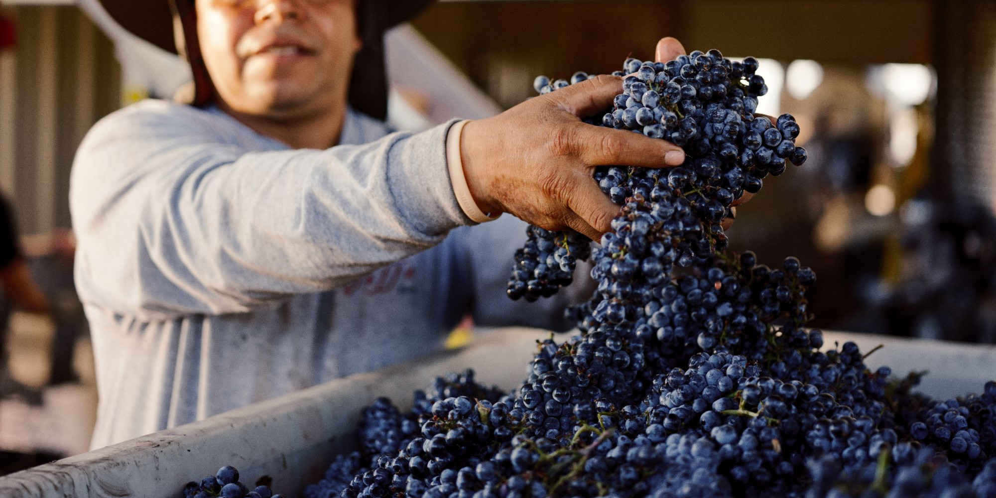 CRUSH - A WINE AND CULINARY SHOWCASE
