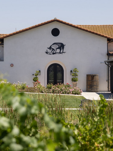 Truffle Pig Winery