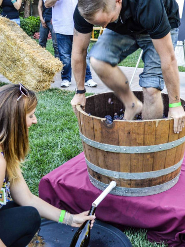 25th Anniversary Celebration & Grapestomp