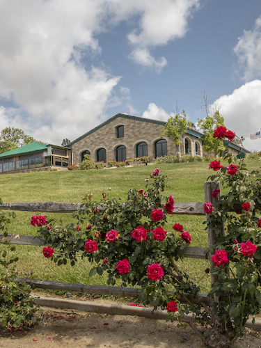 Thornton Winery