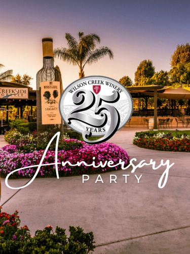 25th Anniversary Party