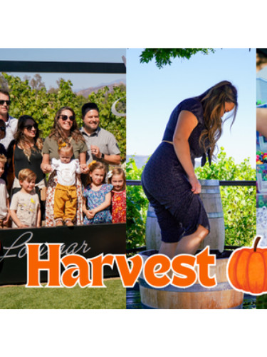 Harvest Festival at Lorimar Winery!