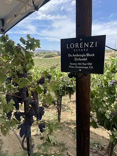 Lorenzi Estate Vineyards & Winery