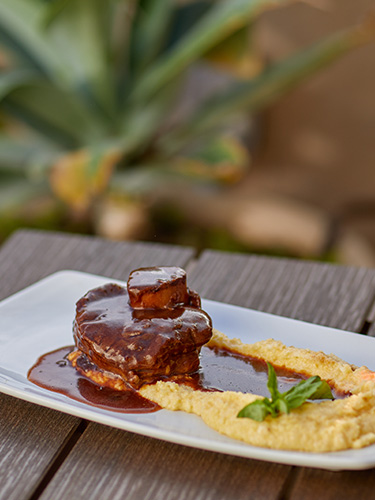 Culinary Adventures with Chef Hany Ali