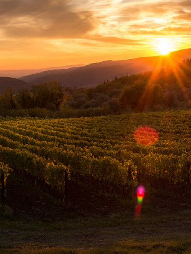 Europa Village Wineries & Resort - A Night in Tuscany