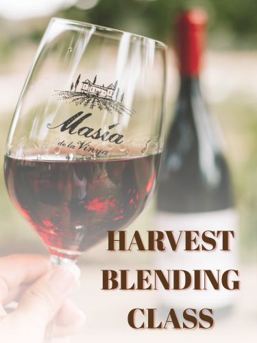 Harvest Blending Class