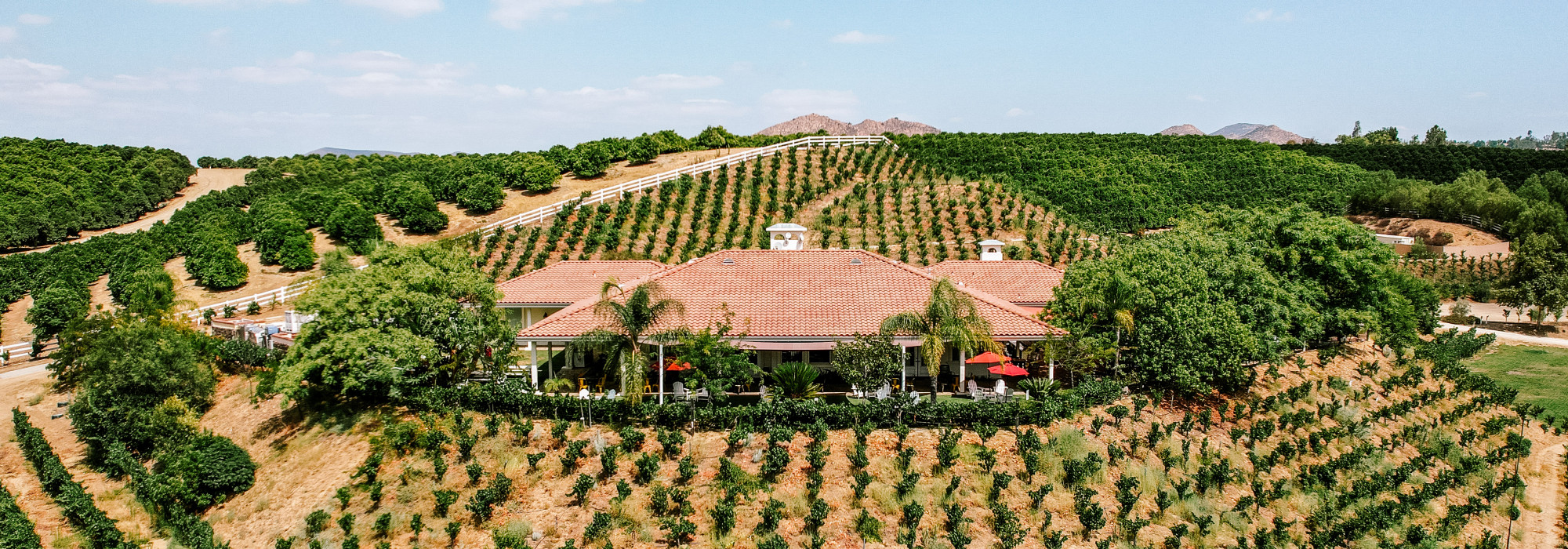 Masia de la Vinya Winery