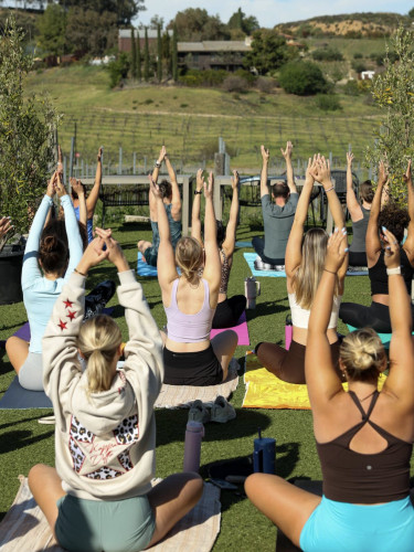 Akash Winery - Golden Hour Yoga @Akash
