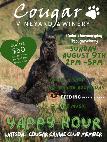 Yappy Hour