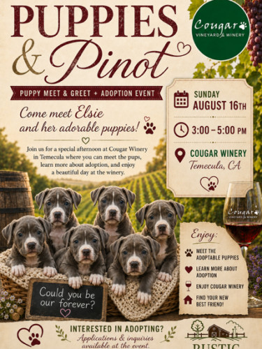Puppies & Pinot (Grigio) meet and greet