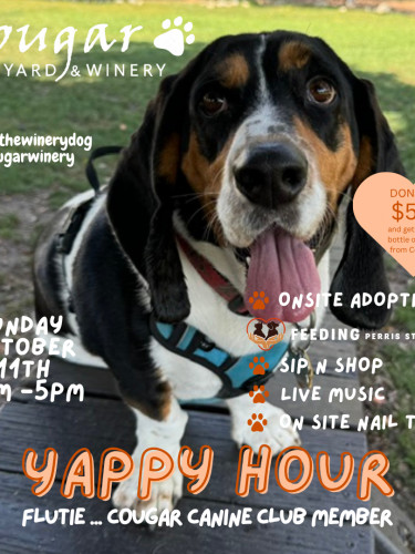 Yappy Hour