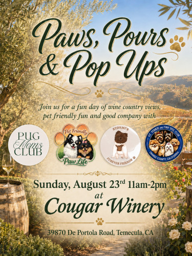 Paws, Pours & Pop Ups