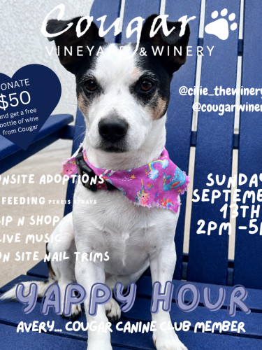 Yappy Hour