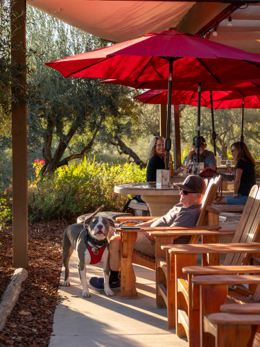 Cougar Vineyard & Winery