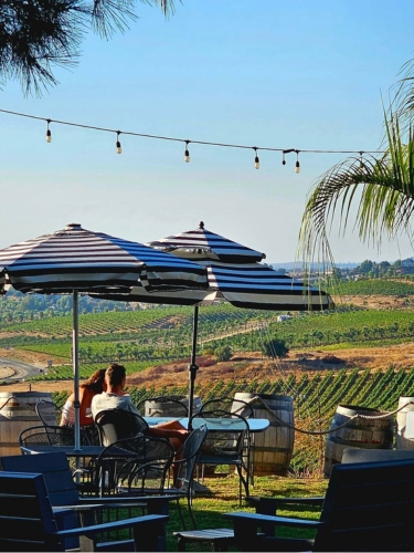 Bella Vista Winery - Live Music - Dean Reynolds
