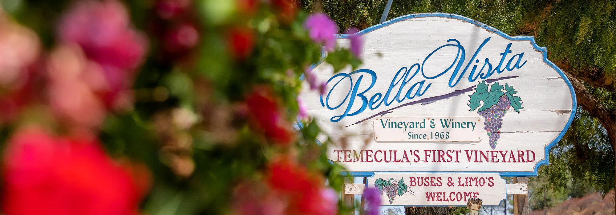 Bella Vista Winery