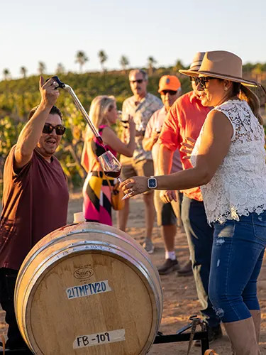 Raul Ramirez Bodegas y Vinedos