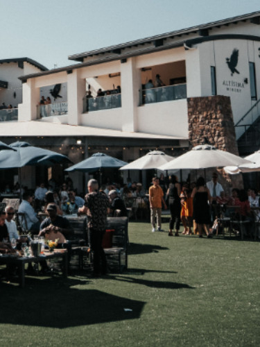 Live Music on the Lawn | Ryan Schaller 