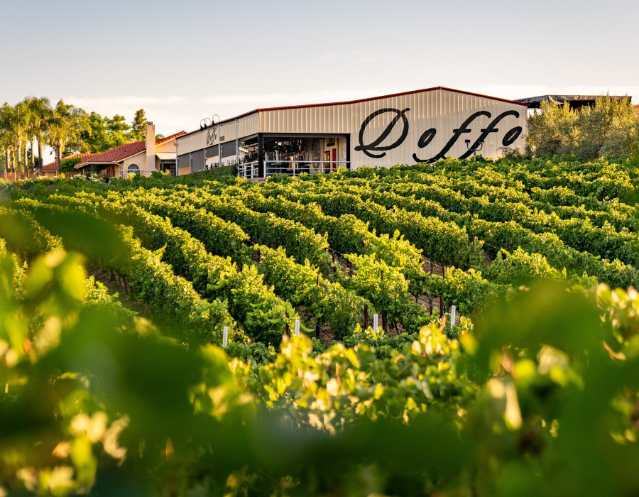 Doffo Vineyard & Winery Photo 2