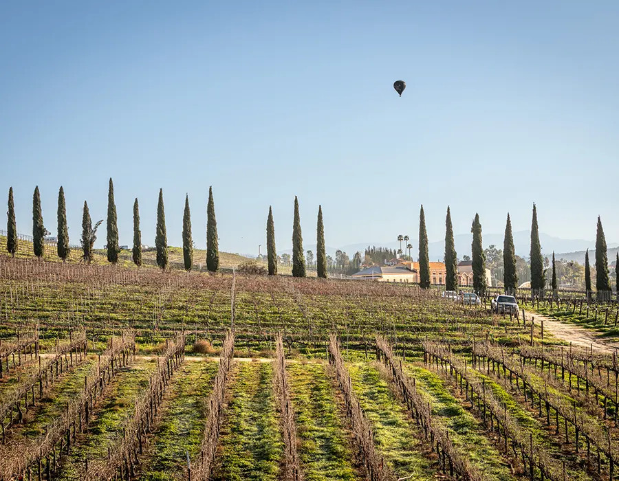 Halter Ranch Temecula Photo 1